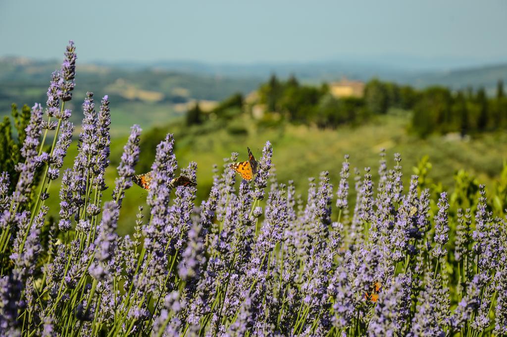 Apartament Adalberto - Nella Dimora Di Fulignano San Gimignano Zewnętrze zdjęcie