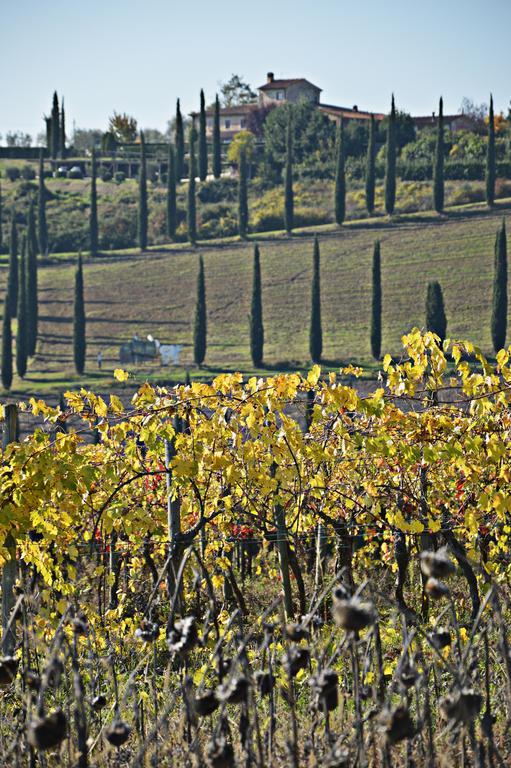 Adalberto - Nella Dimora Di Fulignano San Gimignano Zewnętrze zdjęcie