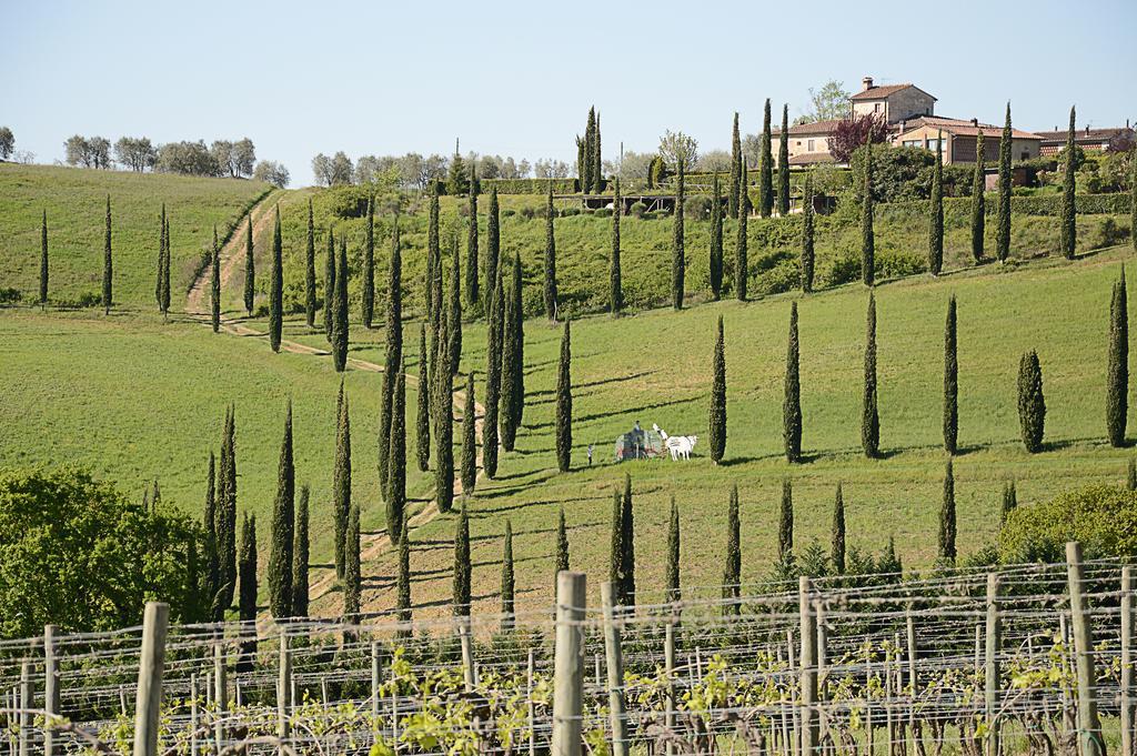 Apartament Adalberto - Nella Dimora Di Fulignano San Gimignano Zewnętrze zdjęcie