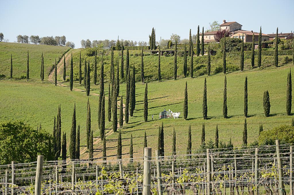 Adalberto - Nella Dimora Di Fulignano San Gimignano Zewnętrze zdjęcie