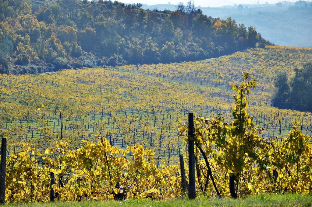 Adalberto - Nella Dimora Di Fulignano San Gimignano Zewnętrze zdjęcie